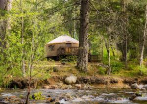 eine Jurte im Wald neben einem Fluss in der Unterkunft Yosemite Lakes River Yurt 22 in Harden Flat
