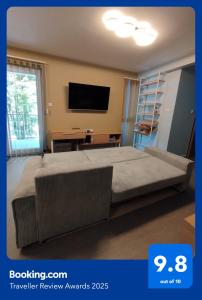 TV a/nebo společenská místnost v ubytování Blonde River Apartman Kálvária Szeged