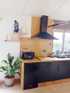 une cuisine avec un comptoir avec un micro-ondes et une plante dans l'établissement Loft luminoso con terraza en Cangas Vigo, à Cangas