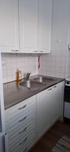 Η κουζίνα ή μικρή κουζίνα στο Kodikas yksiö Kangasniemen keskustassa