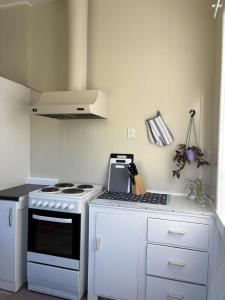A cozinha ou kitchenette de The Nest on Till