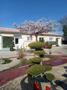 Saint-Médard-de-Guizièresにあるune pause quelque part au jardin des érables et des niwakisの建物前の木と茂みのある庭園