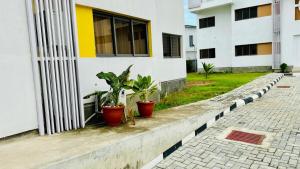 a row of potted plants in front of a building at HomeStay in Ikuata