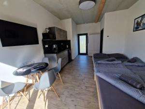 TV a/nebo společenská místnost v ubytování Moderní byt v Relax Vila Lipno u pláže Windy Point
