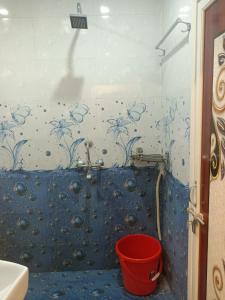 Фотография из галереи Sanskriti Guest House в Варанаси