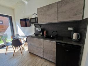 Kuchyň nebo kuchyňský kout v ubytování Moderní byt v Relax Vila Lipno u pláže Windy Point