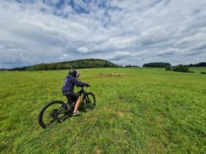 Hosté ubytování Moderní byt v Relax Vila Lipno u pláže Windy Point