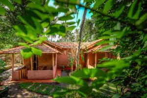 达瓦拉维Little Cabanas Udawalawe的森林中的一座小房子