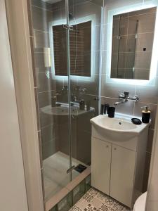 a bathroom with a glass shower and a sink at Cherry Street Apartment in Wolsztyn