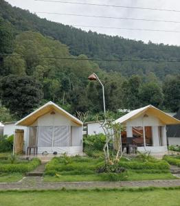 Příroda nedaleko luxury tent