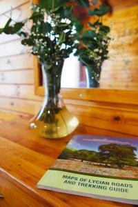 a vase with flowers on a table with a book at Sheriff, Olympos in Kumluca
