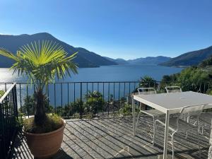 Příroda nedaleko apartmánu + 8 fotografií