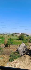 a large rock in a field with a building in the background at Peacefull in Zirakpur
