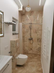 un baño con inodoro y ducha en Beach Lounge Luxory Apartments, en Melnragė 8 fotos más
