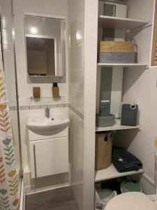 une petite salle de bain avec un lavabo et un miroir dans l'établissement Cottage cosy avec jardin, piscine et parking, à Cabourg