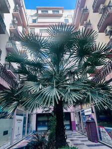 a palm tree in front of a building at Executive appartment in bahria hieghts 1 in Rawalpindi
