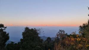 صورة لـ Navira Hills Kanatal في كاناتال