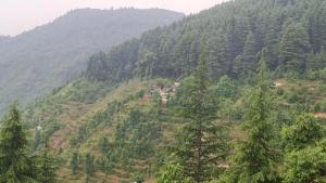 صورة لـ Navira Hills Kanatal في كاناتال