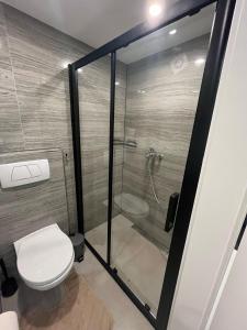 a bathroom with a toilet and a shower at Schönes Studio in Walenstadt nahe Am See in Walenstadt