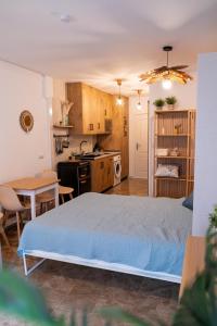 Loft on the beach and a few steps from downtown的厨房或小厨房