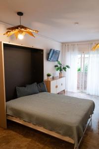 多列毛利诺斯Loft on the beach and a few steps from downtown的一间带一张大床和一台电视的卧室