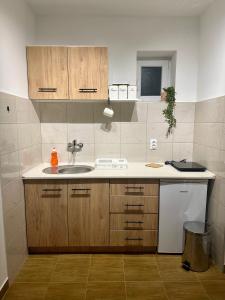 Mynd úr myndasafni af Apartman 8 í Ruma +8 myndir