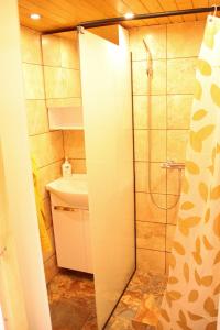 Kúpeľňa v ubytovaní Apartmán Kinských