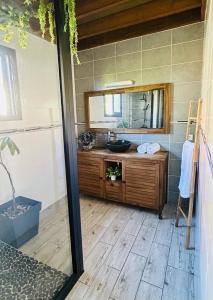 a bathroom with a sink and a mirror at Villa Tamara les hauts in Le Tampon