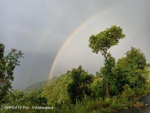a rainbow in the sky over a forest at Miryok Homes in Mirik