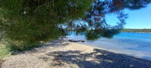 a view of a beach with trees and the water at Blue Lagoon Apartment Silver in Lovište