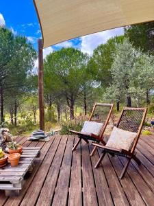 two chairs sitting on top of a wooden deck at Beautiful country home immersed in pine nut farm in São Teotónio