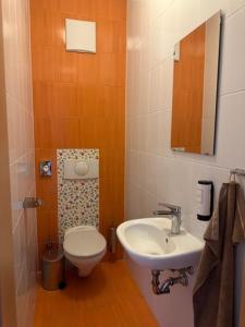 a small bathroom with a toilet and a sink at BOLFI LUX Apartma z balkonom in Pohorje