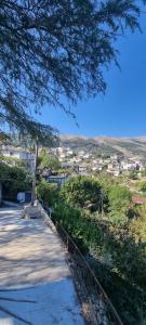 a tree on the side of a road at Magnolia's Private Room in Gjirokastër