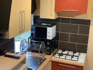a kitchen with a microwave and a dishwasher at Les mobil homes d’oliver rob in Saint-Chéron