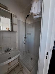 a small bathroom with a shower and a sink at Appartement entier in Fort-de-France