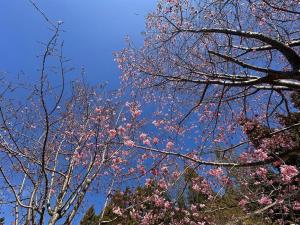Fotografie z fotogalerie ubytování 桃山渡假農場 v destinaci Hualing