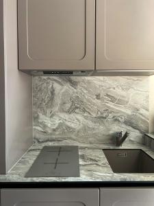 a kitchen with a sink and a counter top at Modern Studio Juodkrante in Juodkrantė