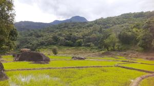 Gambar di galeri bagi Abimansala Resort di Hunnasgiriya