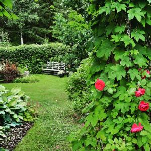 Zahrada ubytování Vargheden B&B och trädgård