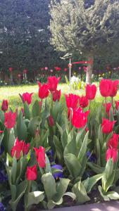 A garden outside Pendik Marine Hotel