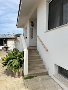 a staircase leading to a white house with a plant at Domu Bella in Decimomannu