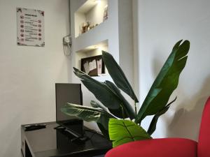 a plant sitting on a desk next to a red chair at Miri Homie Homestay 2 in Miri
