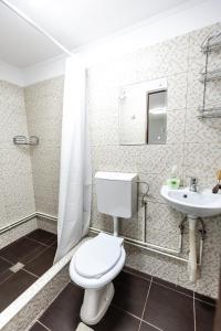 a bathroom with a toilet and a sink at Wooden House Torocko-Rimetea in Rimetea