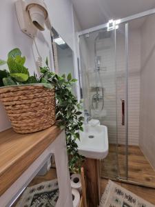 a bathroom with a sink and a shower at Casa Tomșa in Rozavlea +32 photos