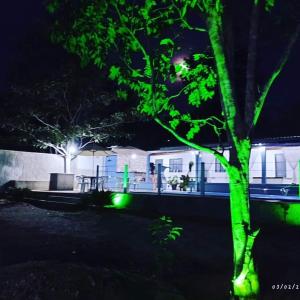 uma casa com luzes verdes em uma árvore à noite em Chácara Liberdade em Pirenópolis