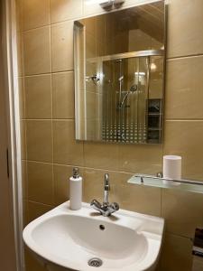 a bathroom with a sink and a mirror at Haraplak in Hajdúszoboszló
