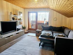 TV a/nebo společenská místnost v ubytování Sonnen-Juwel - Hallenbad-Sauna-2 getrennte Schlafbereiche-direkt an der Skipiste