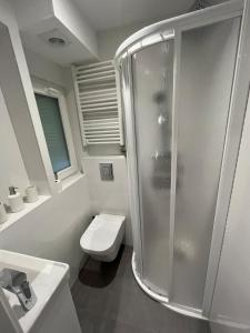 a white bathroom with a shower and a toilet at AtuaireHome Cabestreros a un paso de la catedral y el Castillo in Burgos