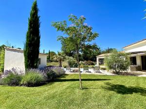un piccolo albero in mezzo a un cortile di Villa Les Vignes d Antan a Le Puy-Sainte-Réparade
