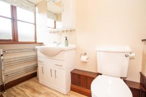 a bathroom with a toilet and a sink at Ystumgwern Luxury Barn Conversions in Dyffryn +37 photos